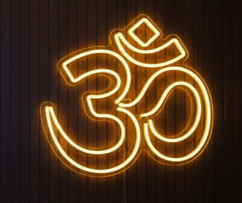 OHM Neon Sign